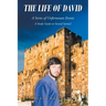 The Life of David: A Series of Unfortunate Events: A Study Guide on Second Samuel