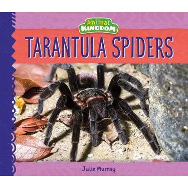 Tarantula Spiders