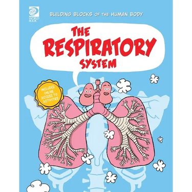 The Respiratory System