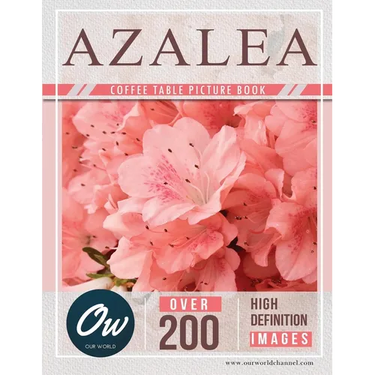 Azalea: Coffee Table Picture Book