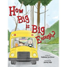 How Big is Big Enough?