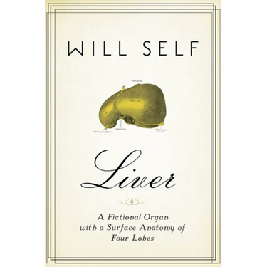 Liver