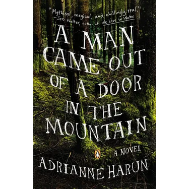 A Man Came Out of a Door in the Mountain