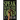 Speak with the Dead