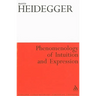 Phenomenology of Intuition and Expression: Theory of Philosophical Concept Formation