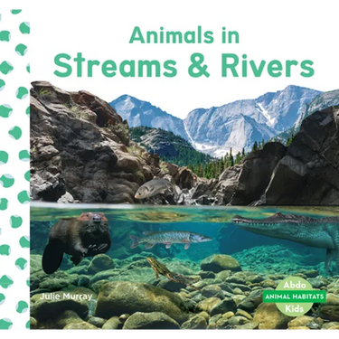 Animals in Streams & Rivers