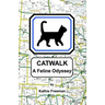 Catwalk