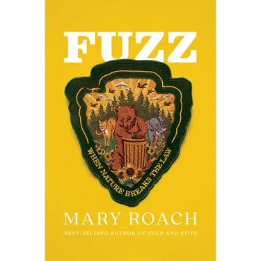 Fuzz: When Nature Breaks the Law
