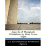 Aspects of Phosphate Utilization by Blue Green Algae