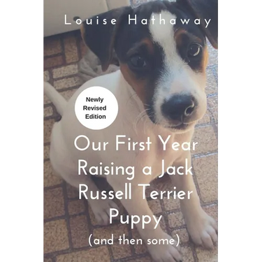 Our First Year Raising A Jack Russell Terrier (and then some)