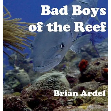 Bad Boys of the Reef
