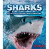 Sharks: Get Up Close to Nature's Fiercest Predators