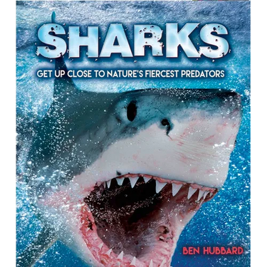 Sharks: Get Up Close to Nature's Fiercest Predators