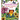 Rainforest Magic Painting Book