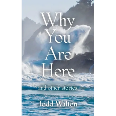 Why You Are Here: and other stories