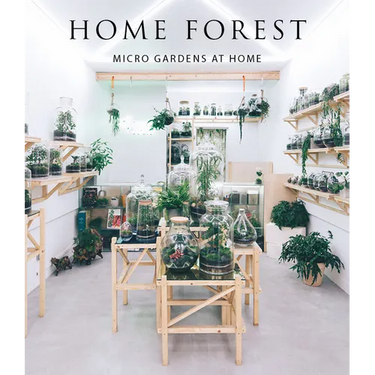 Home Forest: Micro Home Gardens