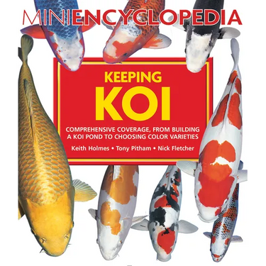 Mini Encyclopedia Keeping Koi: Comprehensive Coverage, from Building a Koi Pond to Choosing Color Varieties