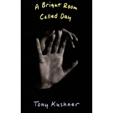 A Bright Room Called Day