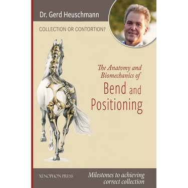 Collection or Contortion: The Anatomy and Biomechanics of Positioning and Bending: Milestones to achieving correct collection
