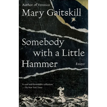 Somebody with a Little Hammer: Essays