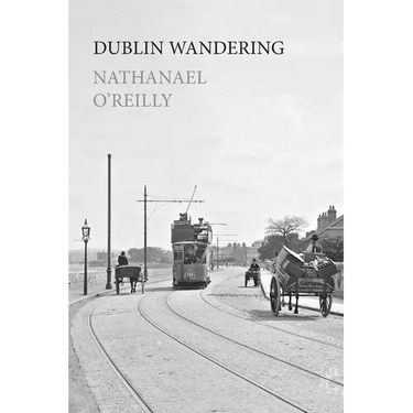 Dublin Wandering