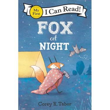 Fox at Night