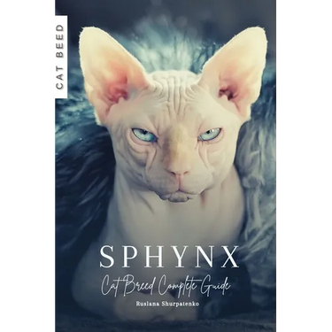 Sphynx: Cat Breed Complete Guide