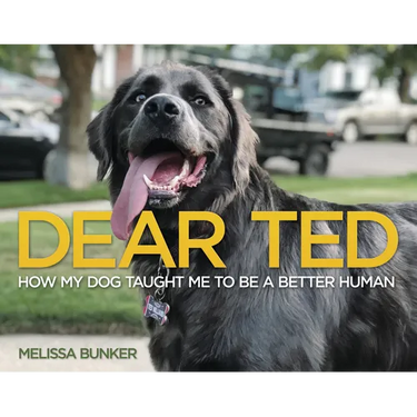 Dear Ted: How My Dog Taught Me to Be a Better Human