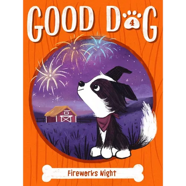 Fireworks Night