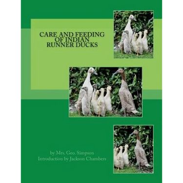 Care and Feeding of Indian Runner Ducks
