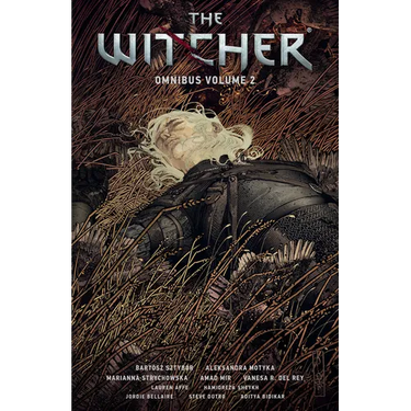 The Witcher Omnibus Volume 2