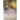 The World Starts Anew