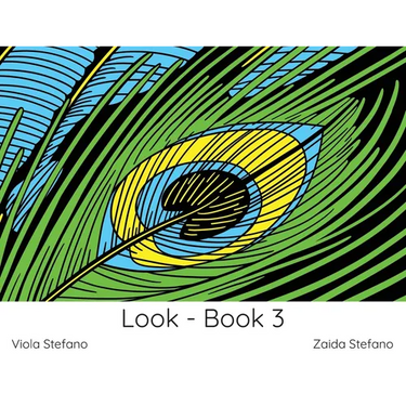 Look - Book 3: VI