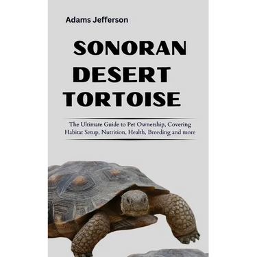Sonoran Desert Tortoise