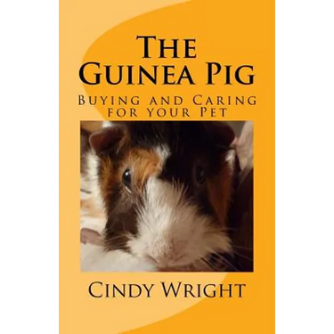 The Guinea Pig: Buying and Caring for your Pet