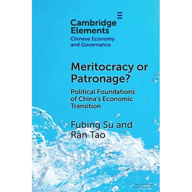 Meritocracy or Patronage?