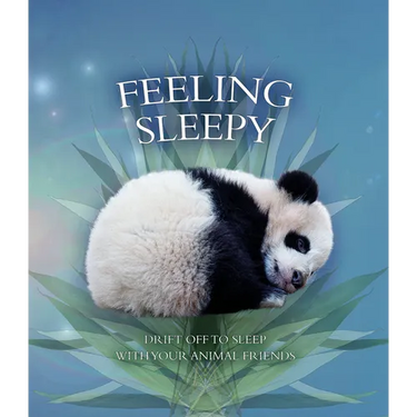 Feeling Sleepy: Drift Off to Sleep with Your Animal Friends
