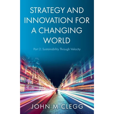 Strategy and Innovation for a Changing World Part 2: Sustainability Through Velocity