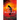 Ninth City Burning