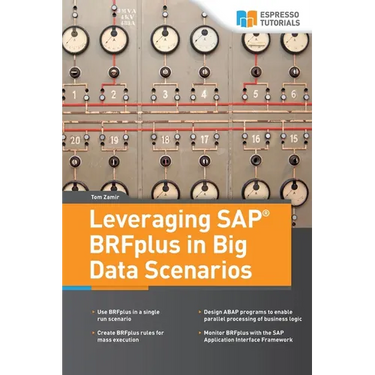 Leveraging SAP BRFplus in Big Data Scenarios