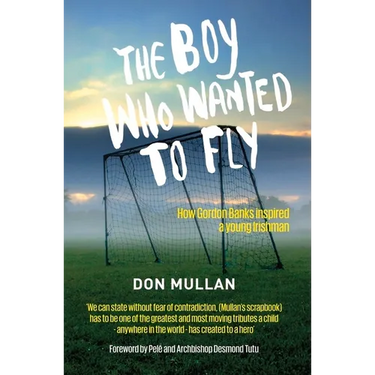The Boy Who Wanted to Fly