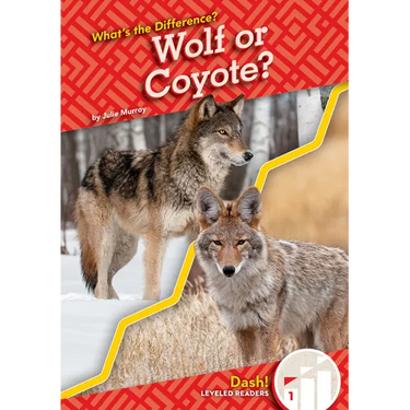 Wolf or Coyote?