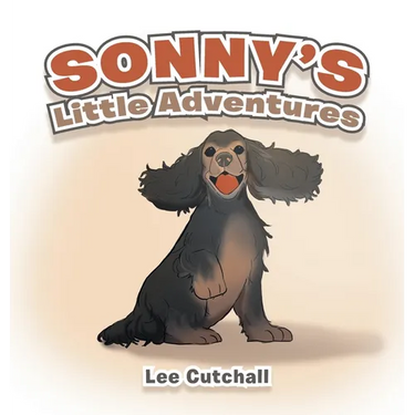 Sonny's Little Adventures