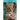 Ocelots