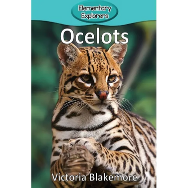 Ocelots