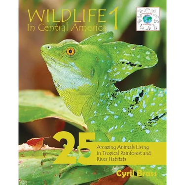 Wildlife In Central America 1: 25 Amazing Animals Living in Tropical Rainforest and River Habitats