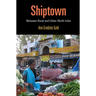 Shiptown: Between Rural and Urban North India