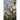 The Birds of County Cork