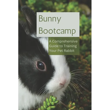 Bunny Bootcamp: A Comprehensive Guide to Training Your Pet Rabbit