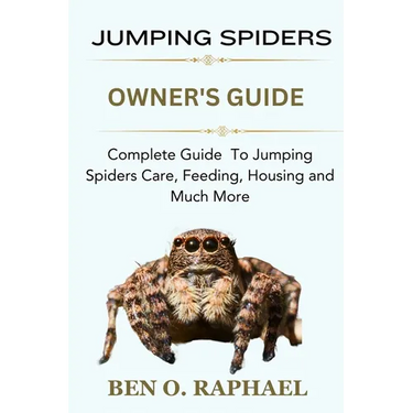 Jumping Spider: Complete Guide To Jumping Spiders Care, Feeding, Housing and Much More